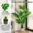 2- Piece Artificial Palm Tree in Planter Set