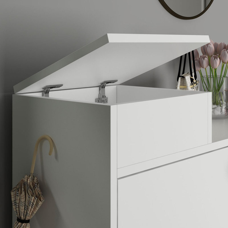 Baneen 8 Pair Shoe Storage Cabinet, White