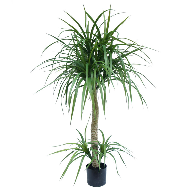 Annistyn Faux Dracaena Tree in Pot, 120 cm x 60 cm