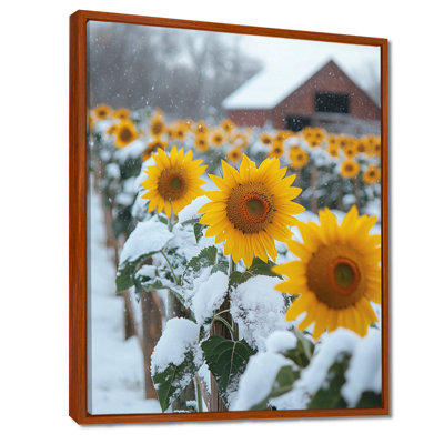 Giambrone, tournesols campagnards dans une basse-cour enneigée I - Tournesols, reproductions encadrées