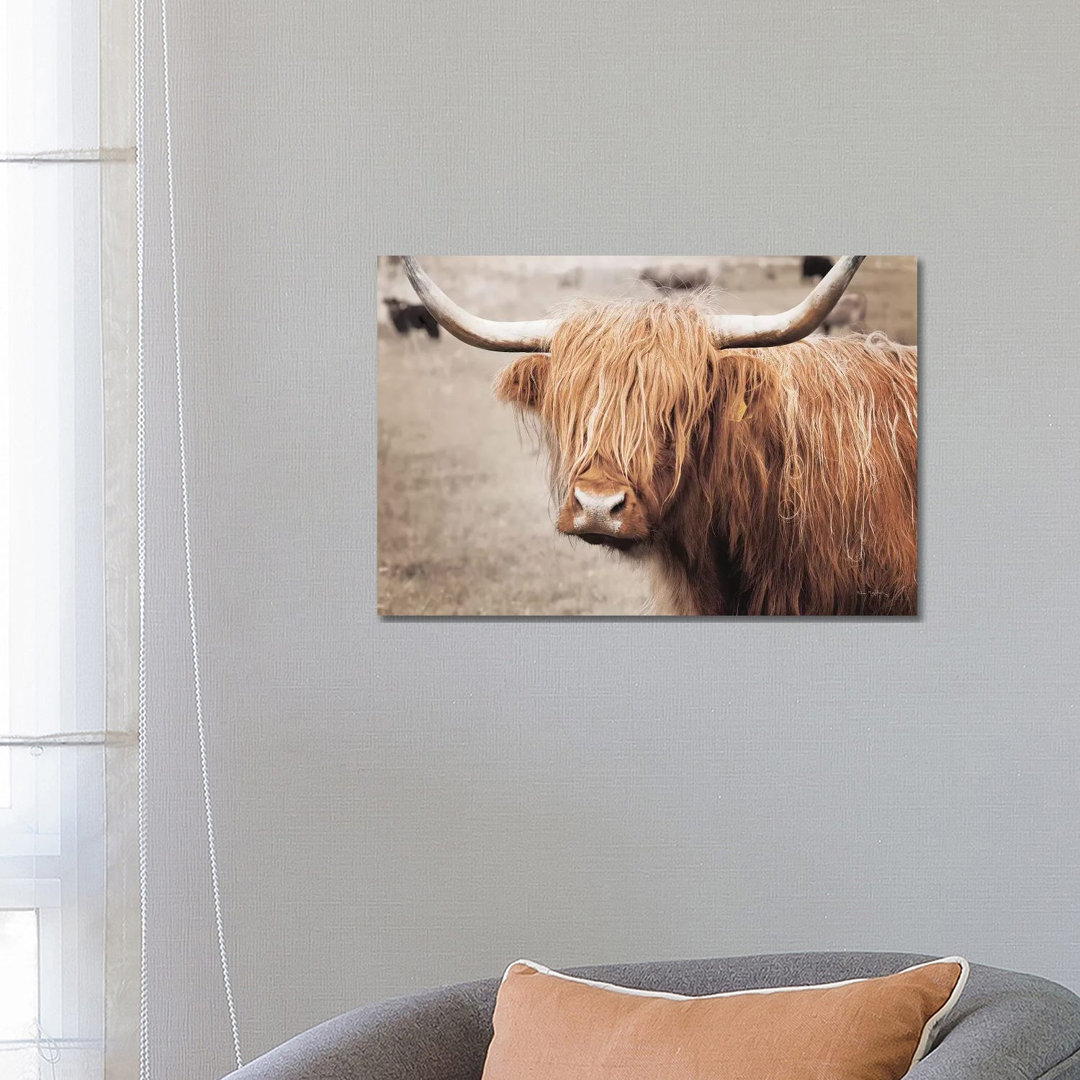 Scottish Highland Cattle I Neutral by Alan Majchrowicz - Wrapped Canvas Print