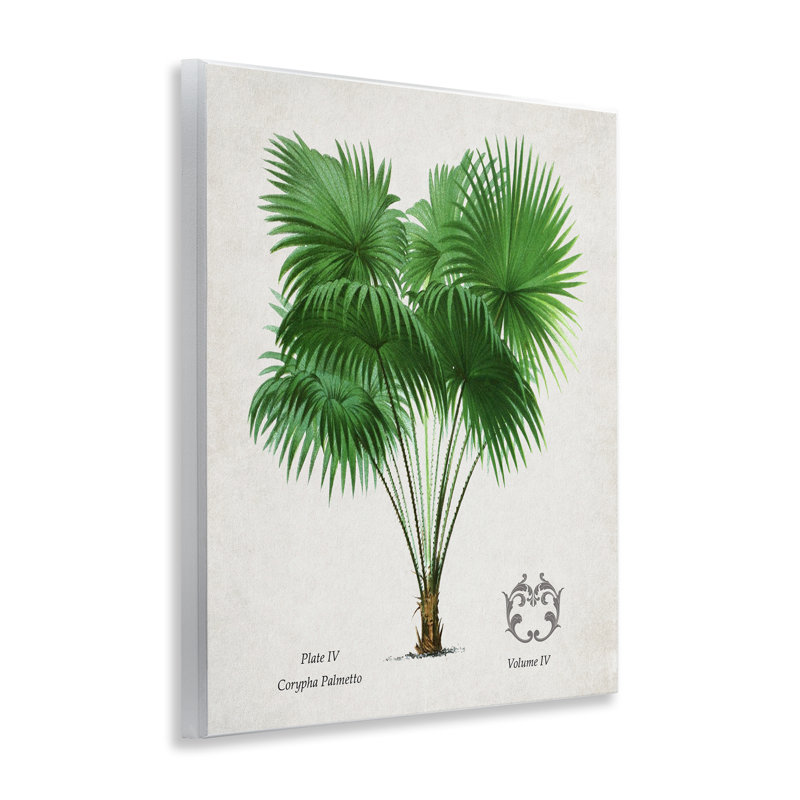 Plaque murale Fan Fan Vintage Study, conception par Val Rhodes