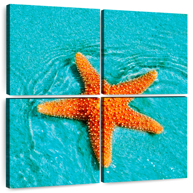 Brampt Submerged Starfish, 32" H x 32" W