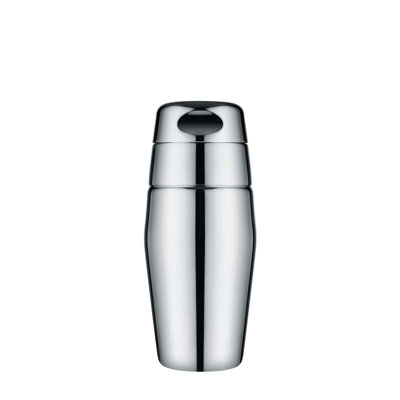 Stainless Steel Shaker