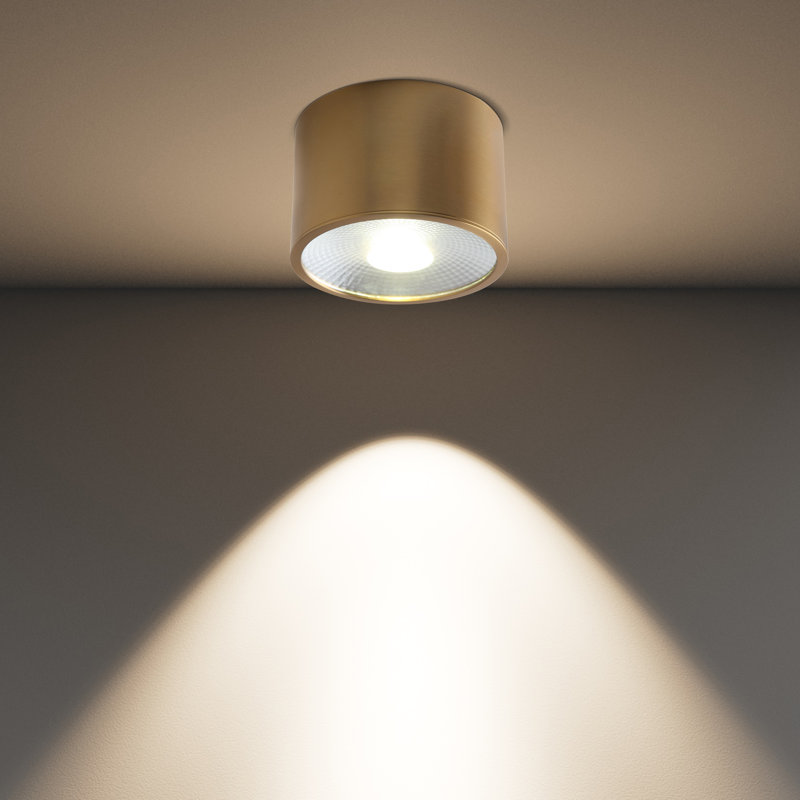 Led Ceiling Light Bright Light Dimmable Ceiling Light 4.72 Inch