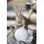 Animals Decorative Object