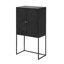 Armoire 31,5 x 16,5 x 60 po, noir