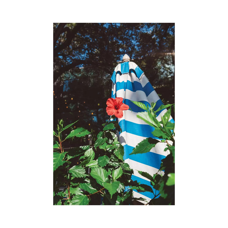 Austin Patio by Bethany Young - Print on Canvas, 101.6cm H x 66.04cm W x 1.91cm D, Wrapped Canvas
