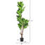 Arbre en figuier artificiel 6 pi 6 pi 