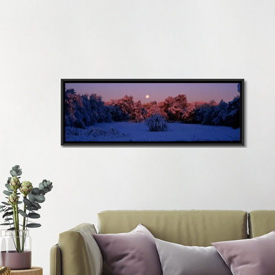 Panoramic Photograph on Canvas