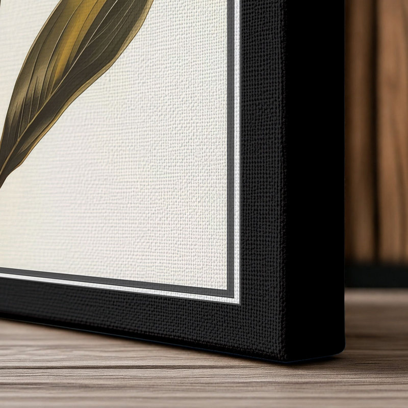 Golden Daffodil Study Botanical - Wrapped Canvas, 18x12 - 45.7 x 30.5 cm, Black Border