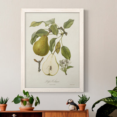 Toile encadrée de qualité supérieure Vintage Pears II - prête à être accrochée
