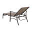 Paire de chaises longues en aluminium Trevi