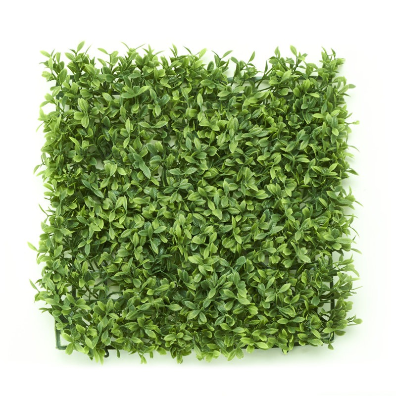 Herbe de buis artificielle, H 10 po x l 10 po x p 1,5 po