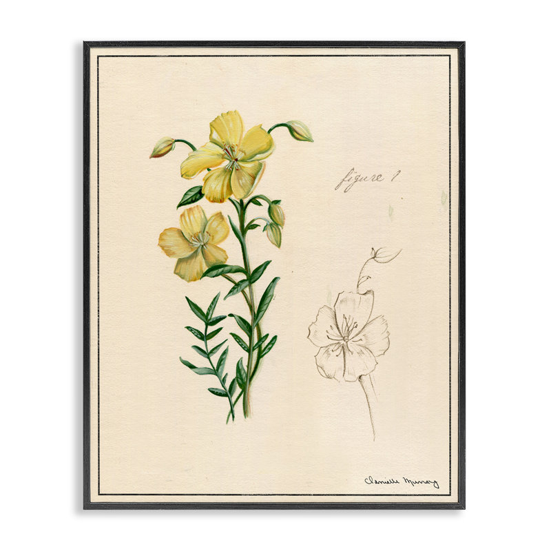 «Science Study Yellow Flower», estampe numérique, conception de Danielle Murray, H 14 po x l 11 po
