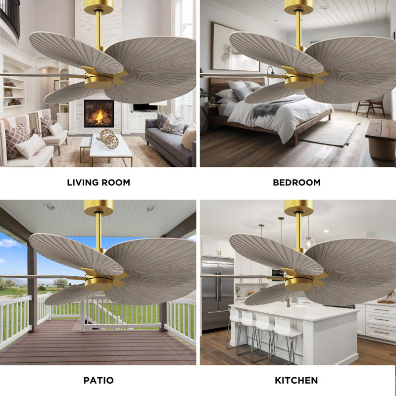 Alessandra Tropical - Five Blade Ceiling Fan - Matte White Finish - Matte White Blades, Gray Ash Tone, Brushed Brass