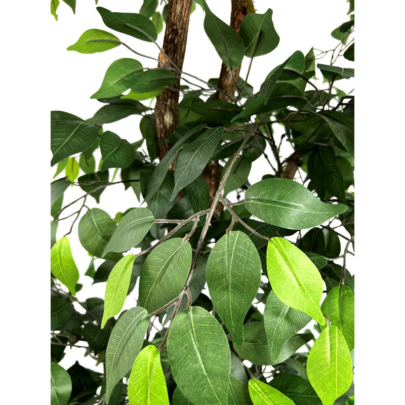 Hand-Made Primrue Giant 6.5'' Artificial Ficus Tree