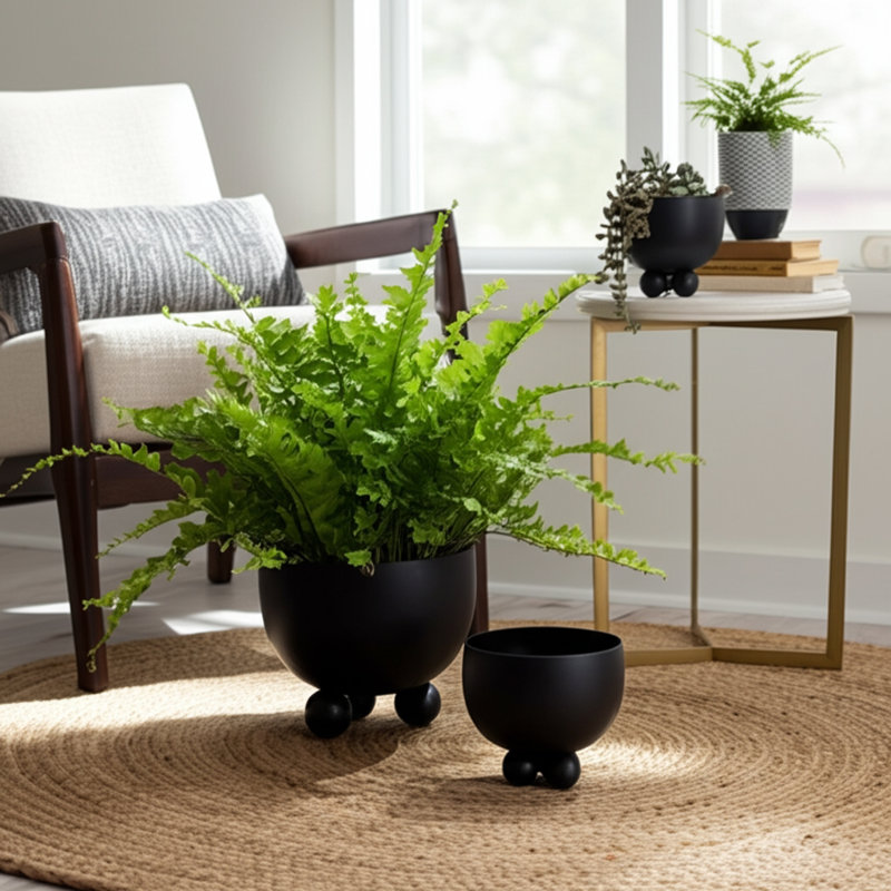 Planters Metal Modern Sleek Decorative Footed Bowl Design Stylish Contemporary Garden Accent Set Of 2, Black