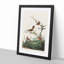 Wrens by John James Audubon - Picture Frame Painting Print-55614443-55614439