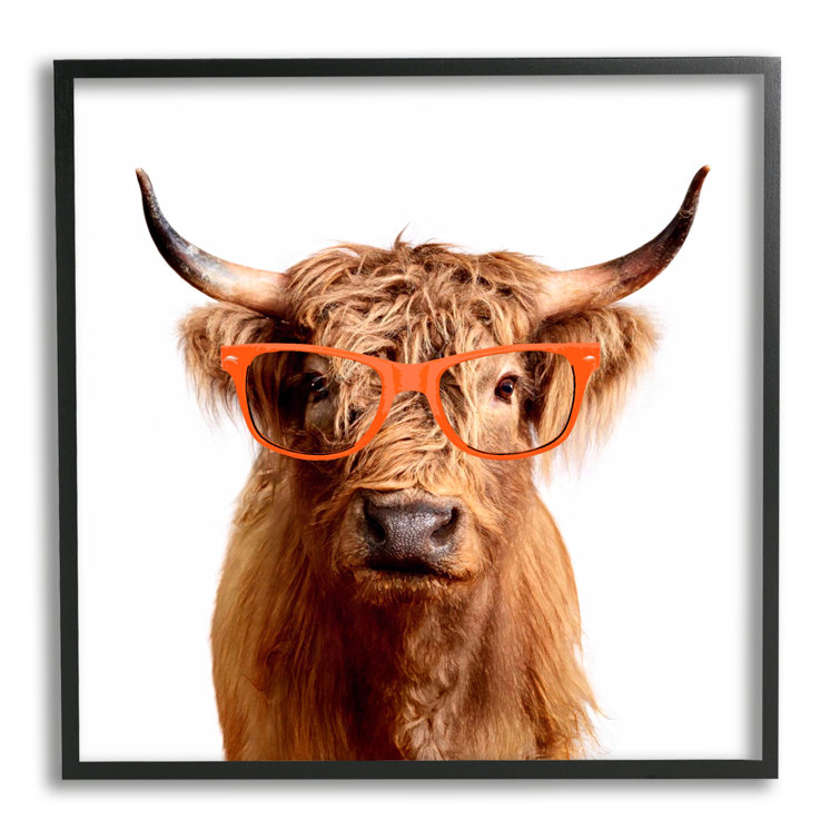 Stupell Industries Highland Cattle Cow Collage Portrait Graphic Art Black Framed Art Print Wall Art, Design by Traci Anderson