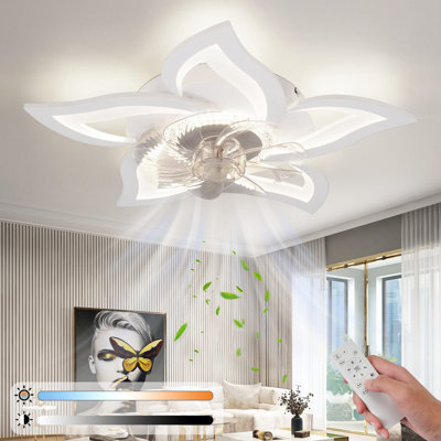 Ceiling Fan with LED Lights