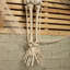 Anaum Decorative Accent