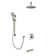 Louth 3-Way Complete Shower System with Ceiling-mount 10" Rainhead