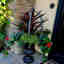 Customer photo 2 of 3