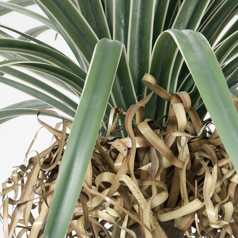 88.9'' Faux Dragon Tree Tree in Pot