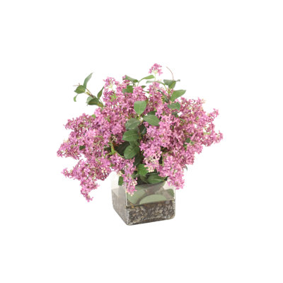 Lilas violet foncé dans un vase carré