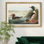 Goosander Duck - reproduction d'art sur toile-363645635-363645637