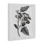 Art mural rétro sur toile, "Wild Flower Branch Study", par Kelly Donovan