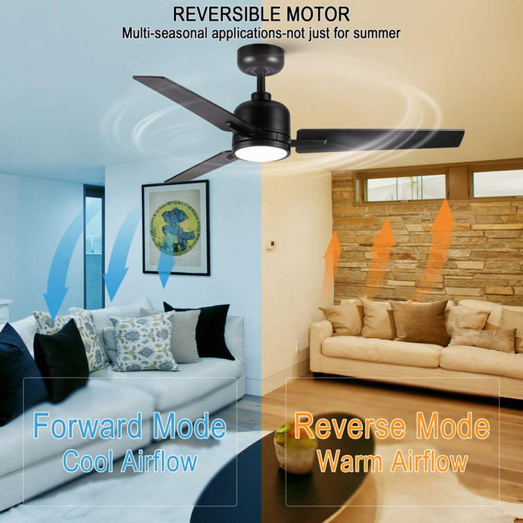 Modern 48" Ceiling Fan with Light and 3 Blades