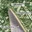 Area Rug-1546685045-1546685044