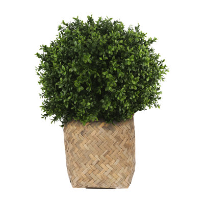 Seville Faux Boxwood Topiary in Cement/Bamboo Planter