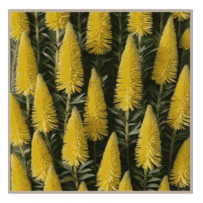 Machine Washable Botanical Brown Area Rug