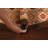 Indoor Rug