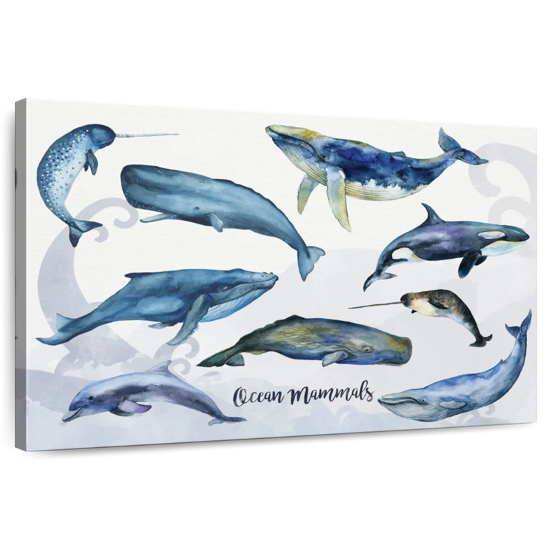 Brampt Ocean Mammals Chart, 32" H x 48" W