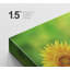 Tournesol sur fond de pétales de tournesol-99543408