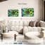 Plante grasse Haroek Lace Aloe