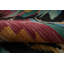 Tapis turc coloré en laine Kilim 6 x 9