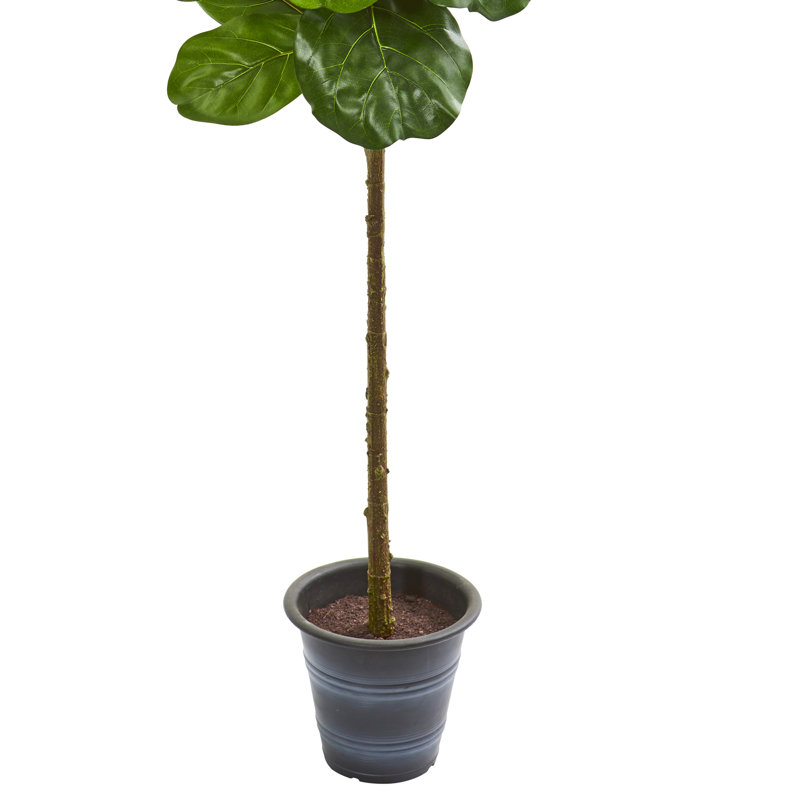 Figuier à feuilles artificielle en pot, H 60 po x l 19 po x P 19 po
