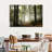 Forest Daybreak Canvas Print-811922517