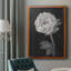 Fleurs noires et blanches II, toile encadrée de qualité supérieure - prête à être accrochée-1539464131-1529900059