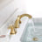 Widespread 2-handle Bathroom Faucet with Drain Assembly-50749538