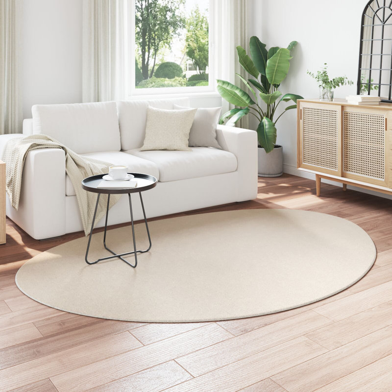 Rugs Beige Accent Rug Minimalist, Novelty 160 x 230 cm, Polyester