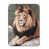 Lion est en rupture de stock