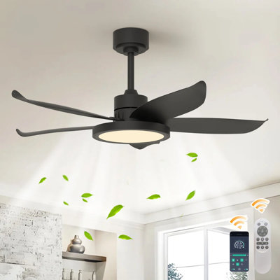 42" 5 - Blade Dimmable LED Reversible Ceiling Fan With Light And Remote Control
