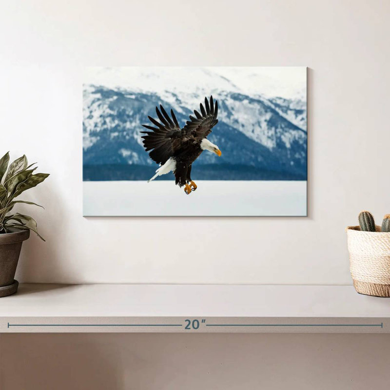 Crowle Bald Eagle On Winter, 8" H x 12" W