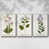 Blanc sélectionné